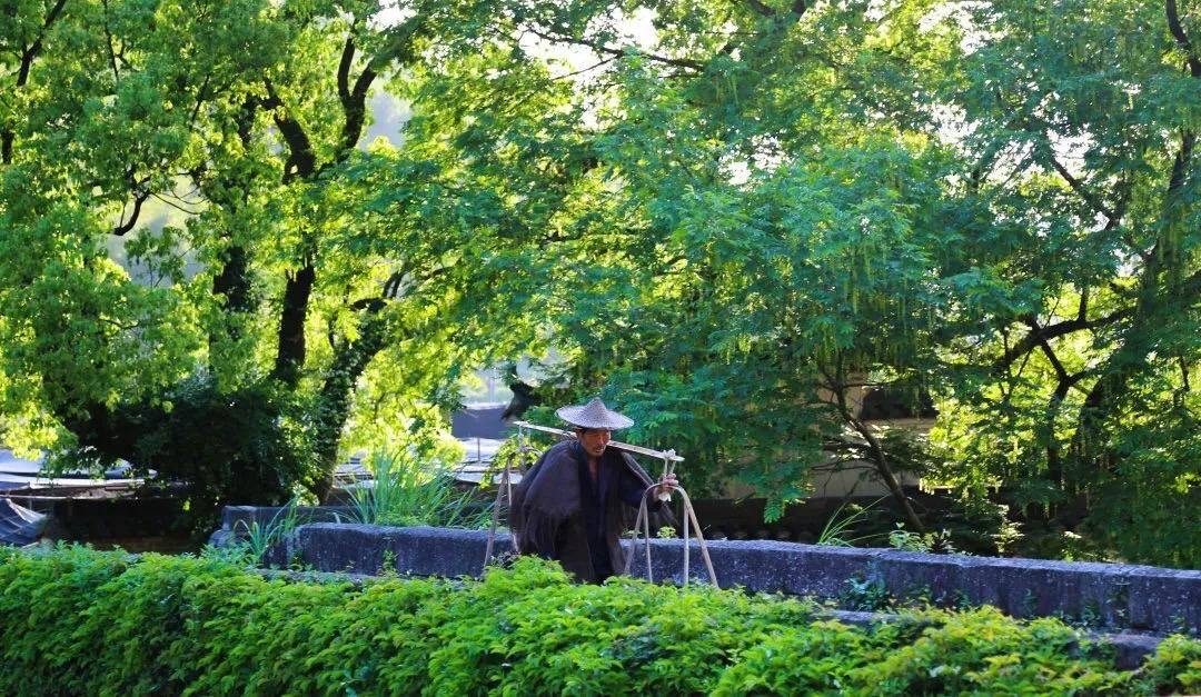 波光粼粼 第8页