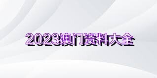 2004澳门资料大全免费,澳门资料大全免费，探索与警示