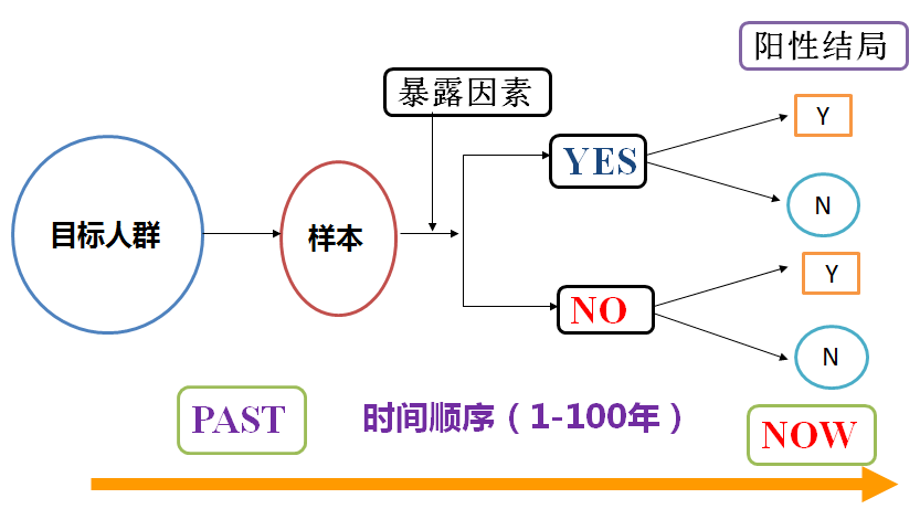 走马观花 第7页