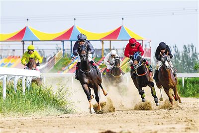 2024今晚香港开特马,今晚香港开特马，探索赛马运动的魅力与未来展望